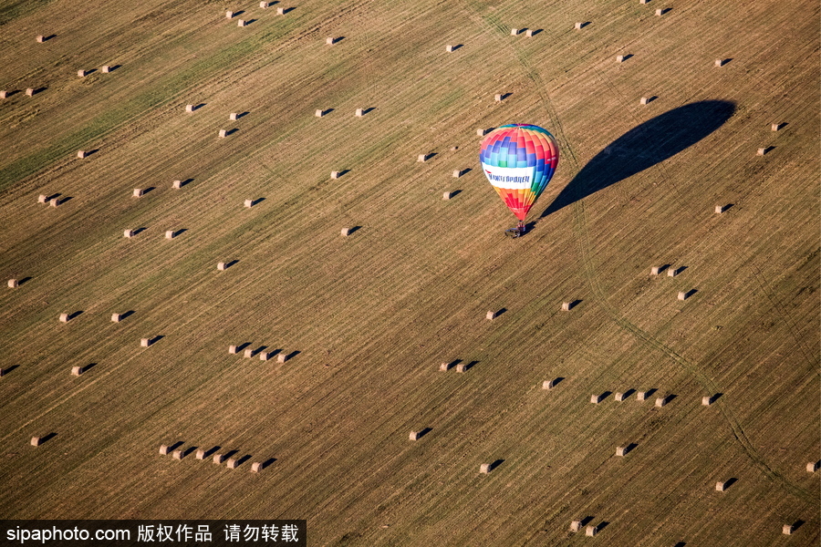 田野上放飛的彩色希望！俄羅斯下諾夫哥羅德舉辦熱氣球節