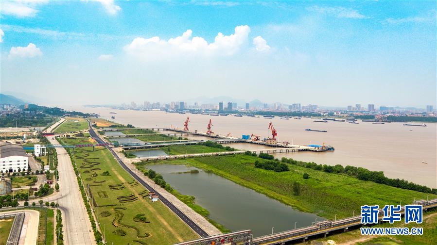 為了“一岸翠綠”——江西九江生態修復百里長江