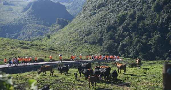 中國(guó)國(guó)際露營(yíng)大會(huì)助力大方脫貧攻堅(jiān)戰(zhàn)