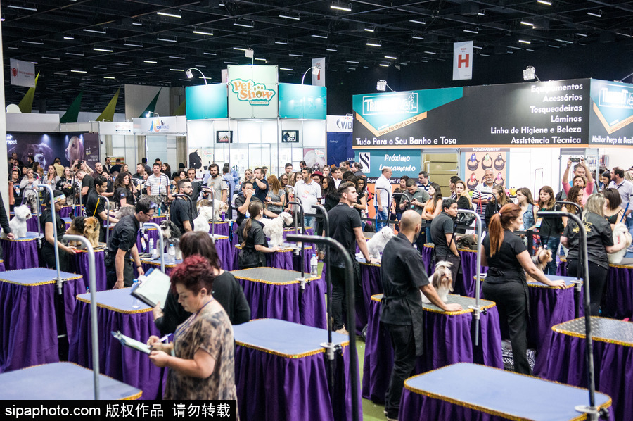 2018南美寵物展：各款萌寵及周邊產品亮相巴西圣保羅