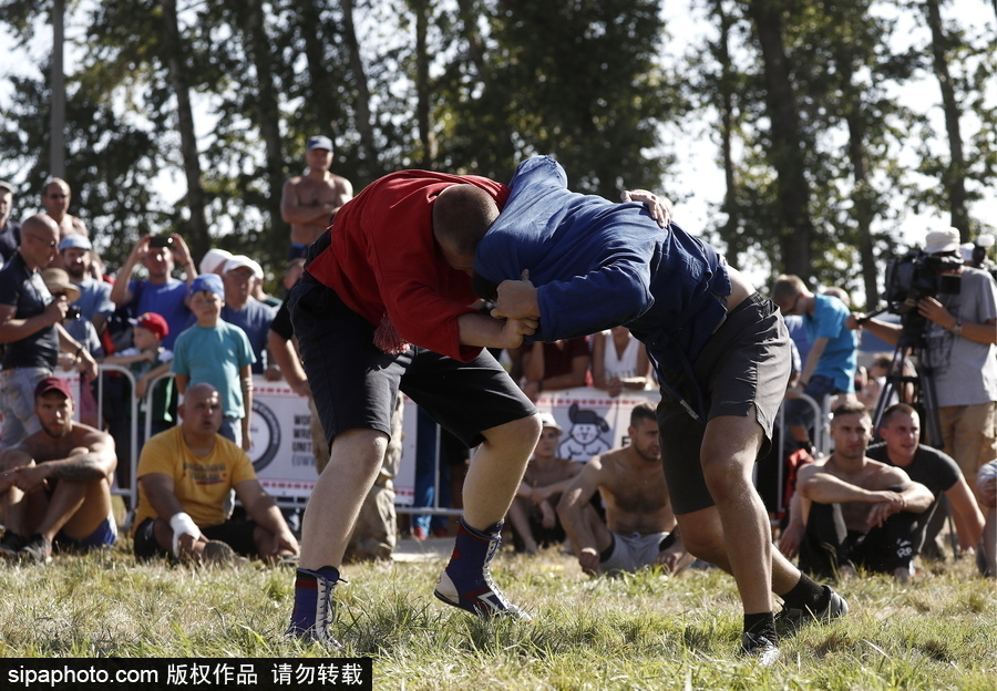 來(lái)自“戰(zhàn)斗民族”的力量比拼！俄羅斯坦波夫地區(qū)傳統(tǒng)體育比賽現(xiàn)場(chǎng)十分火熱