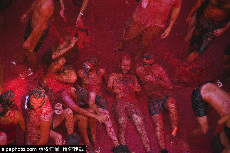 “血色”浪漫！直擊西班牙番茄節(jié)現(xiàn)場(chǎng) 互擲番茄毫不手軟