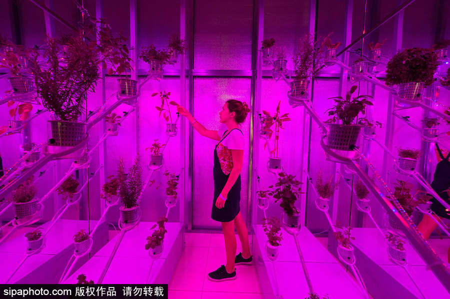 探尋設(shè)計(jì)對(duì)生活的影響 英國(guó)倫敦薩默塞特設(shè)計(jì)雙年展涌現(xiàn)大批優(yōu)秀作品