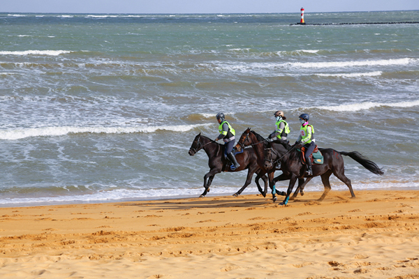 2018濰坊濱海國際馬術文化節十月舉行