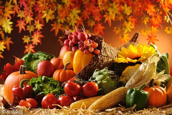 秋天好干燥，怎么吃才好？這份養生攻略請收好