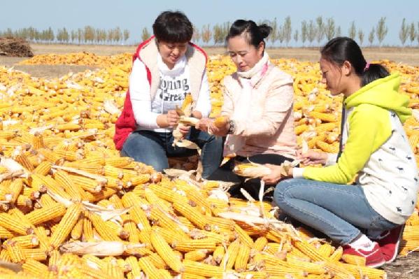 阿榮旗糧產創紀錄，13億人每人又多三斤糧