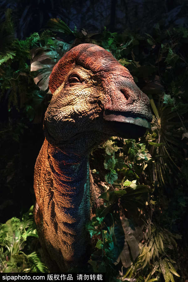 西班牙：身臨其境！《侏羅紀世界：墮落的王國》展覽在馬德里舉行