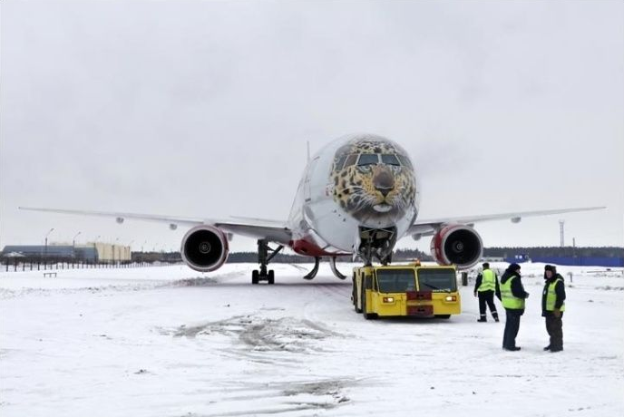 俄推出“阿穆爾豹”彩繪涂裝飛機
