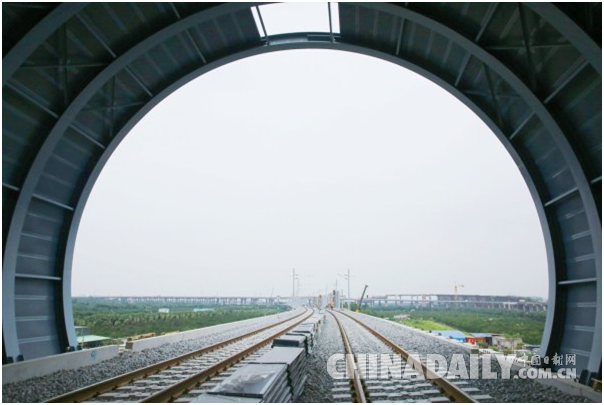 高鐵建全封閉屏障 護(hù)“小鳥天堂”歲月靜好