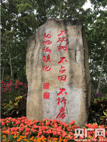 潮起海之南：特區(qū)海南，海南特色