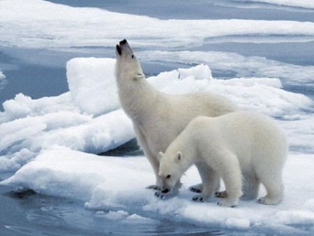 懶人包：關(guān)于巴黎氣候大會，這里有你想知道的一切