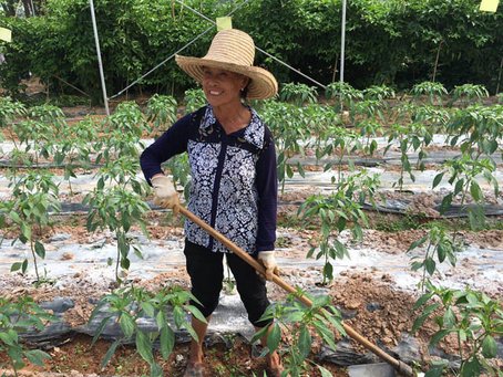 重走長征路,看江西精準扶貧使出“洪荒之力”