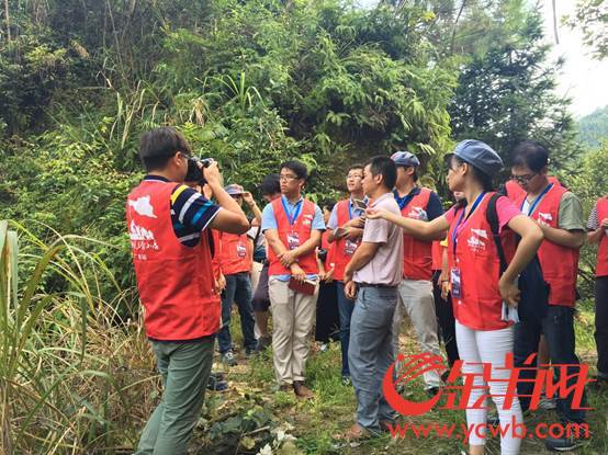 【網絡媒體走轉改】千畝皇帝柑助力奔小康 城口恩村精準扶貧初見效