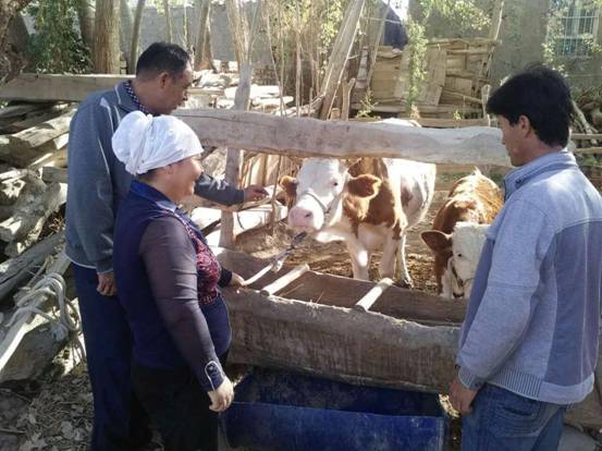 夯實扶貧地基，且末縣工作組精準扶貧“回頭看”