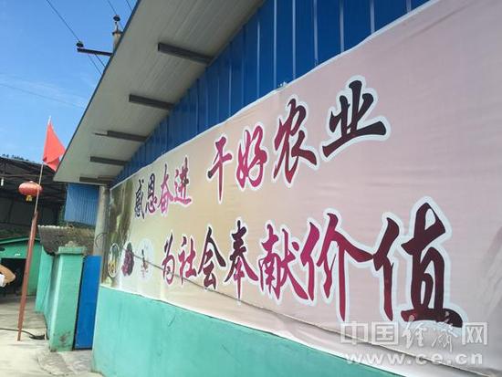 【網絡媒體走轉改】革命老區精準扶貧的