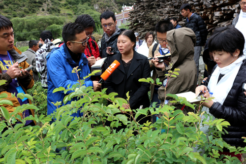 【網(wǎng)絡(luò)媒體“走轉(zhuǎn)改”】四川小金縣：風(fēng)雨彩虹長征路 鏗鏘玫瑰助扶貧