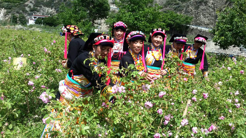 【網(wǎng)絡(luò)媒體“走轉(zhuǎn)改”】四川小金縣：風(fēng)雨彩虹長征路 鏗鏘玫瑰助扶貧