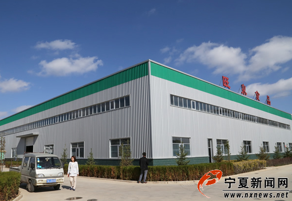 【網(wǎng)絡(luò)媒體“走轉(zhuǎn)改”】西吉縣扶貧攻堅“特色產(chǎn)業(yè)”帶動闖出新路子