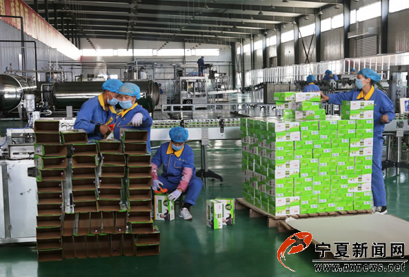 【網(wǎng)絡(luò)媒體“走轉(zhuǎn)改”】西吉縣扶貧攻堅“特色產(chǎn)業(yè)”帶動闖出新路子