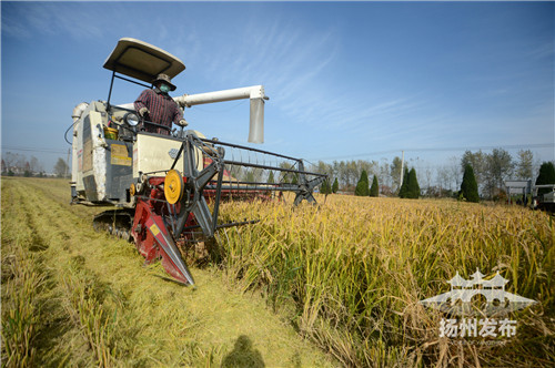 【領航新征程】農民笑開顏：“土地延包讓我們吃上定心丸”