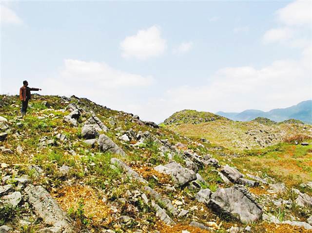 【領航新征程】重慶市南川石漠化治理 向“土地癌癥”說不