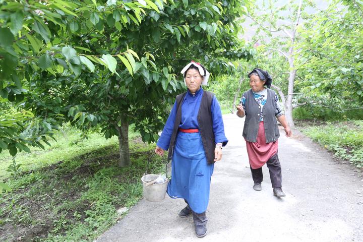 汶川地震震后十年：90后親歷者靠賣山貨月入30萬(wàn)