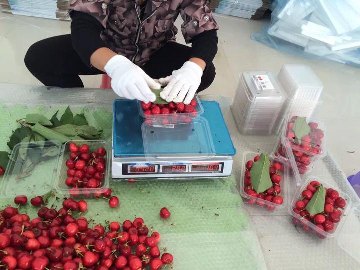 汶川地震震后十年：90后親歷者靠賣山貨月入30萬(wàn)