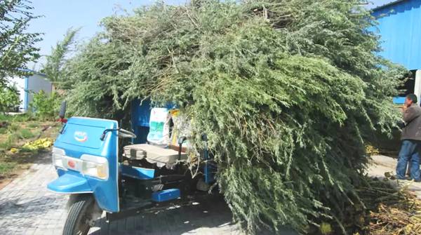 聚焦｜大漠變綠洲，庫布其走出一條綠色的旅游產(chǎn)業(yè)鏈