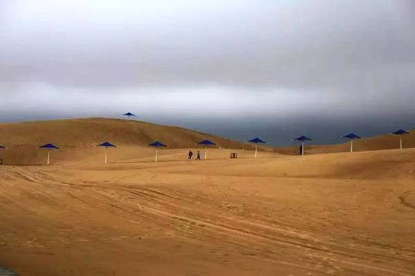 聚焦｜大漠變綠洲，庫布其走出一條綠色的旅游產(chǎn)業(yè)鏈